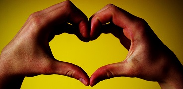 We love our clients and work hard so they will love us, too.